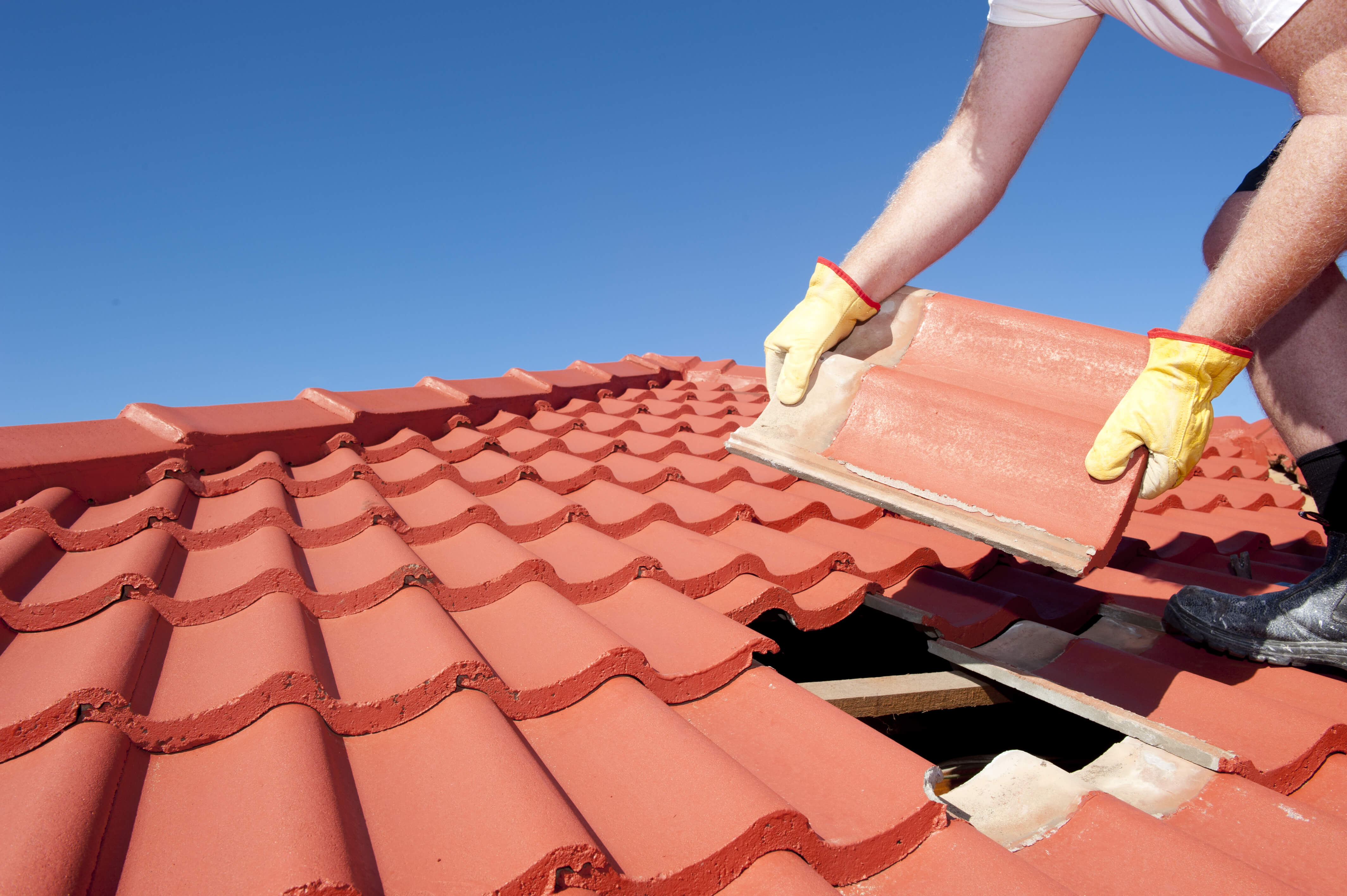 Tile shingle roof